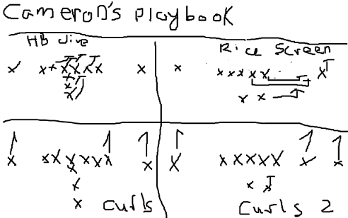 Cam Cameron play-calling